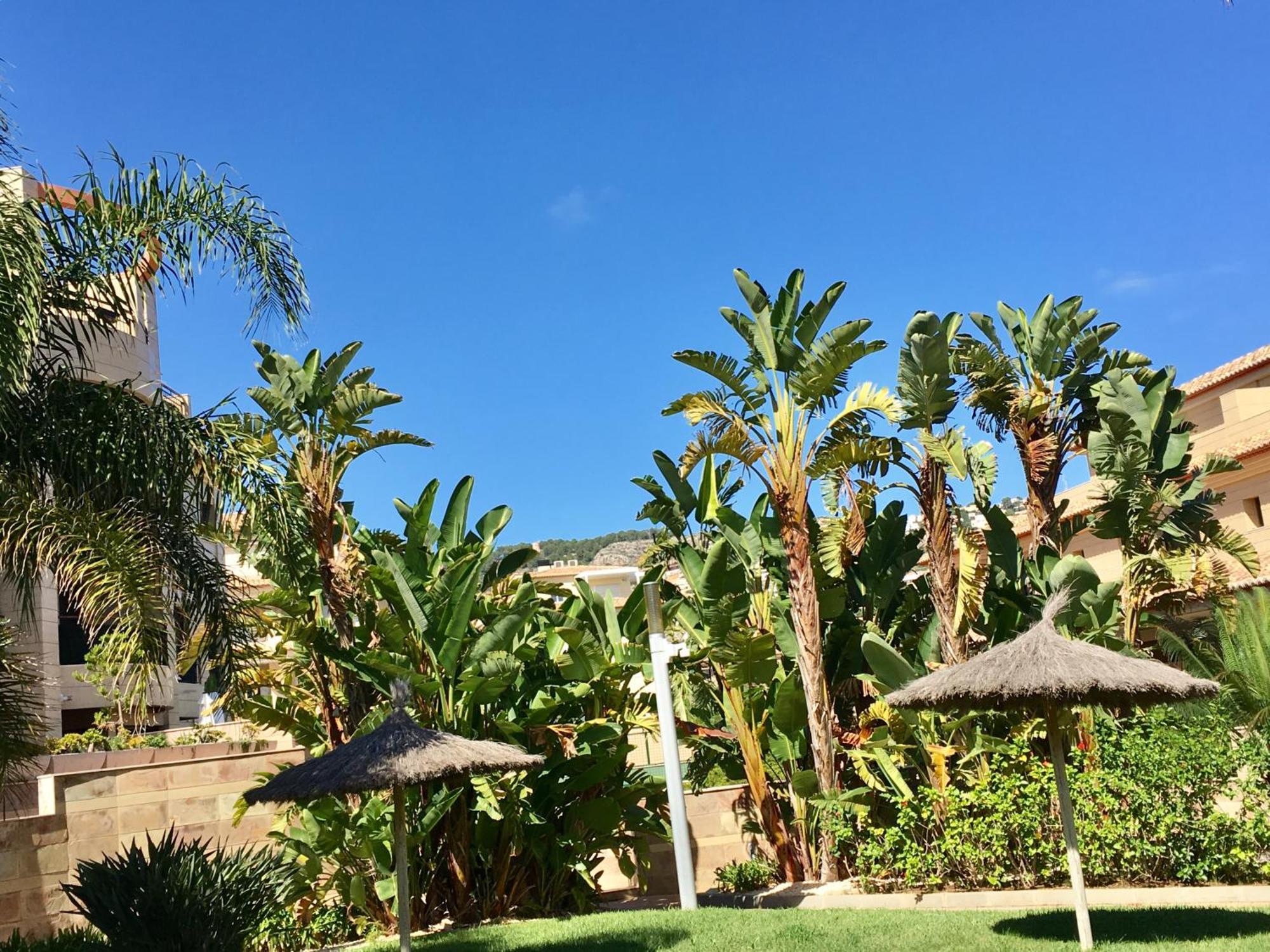 Jávea Luxury Spa Living מראה חיצוני תמונה